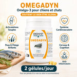 Omegadyn Oméga 3 chien chat 60 capsules Ergyvet avec bénéfices articulations peau pelage cœur cerveau
