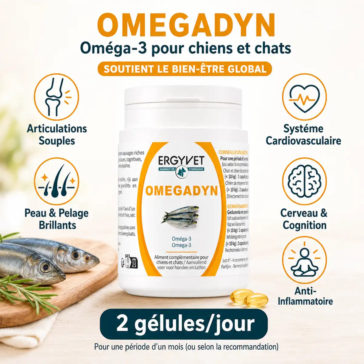 Omegadyn Oméga 3 chien chat 60 capsules Ergyvet avec bénéfices articulations peau pelage cœur cerveau