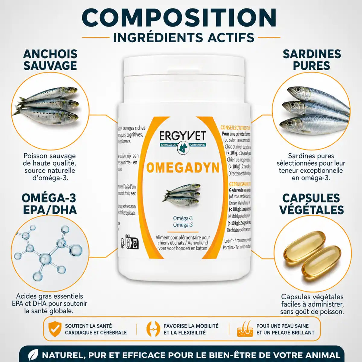 Omegadyn oméga 3 chien chat 60 capsules Ergyvet avec composition ingrédients anchois sardines EPA DHA