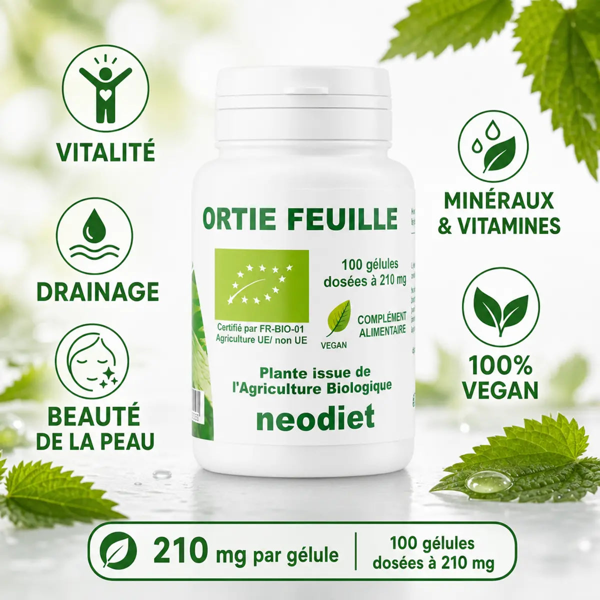 Ortie piquante feuille Neodiet 100 gélules avec bénéfices vitalité, drainage et beauté de la peau