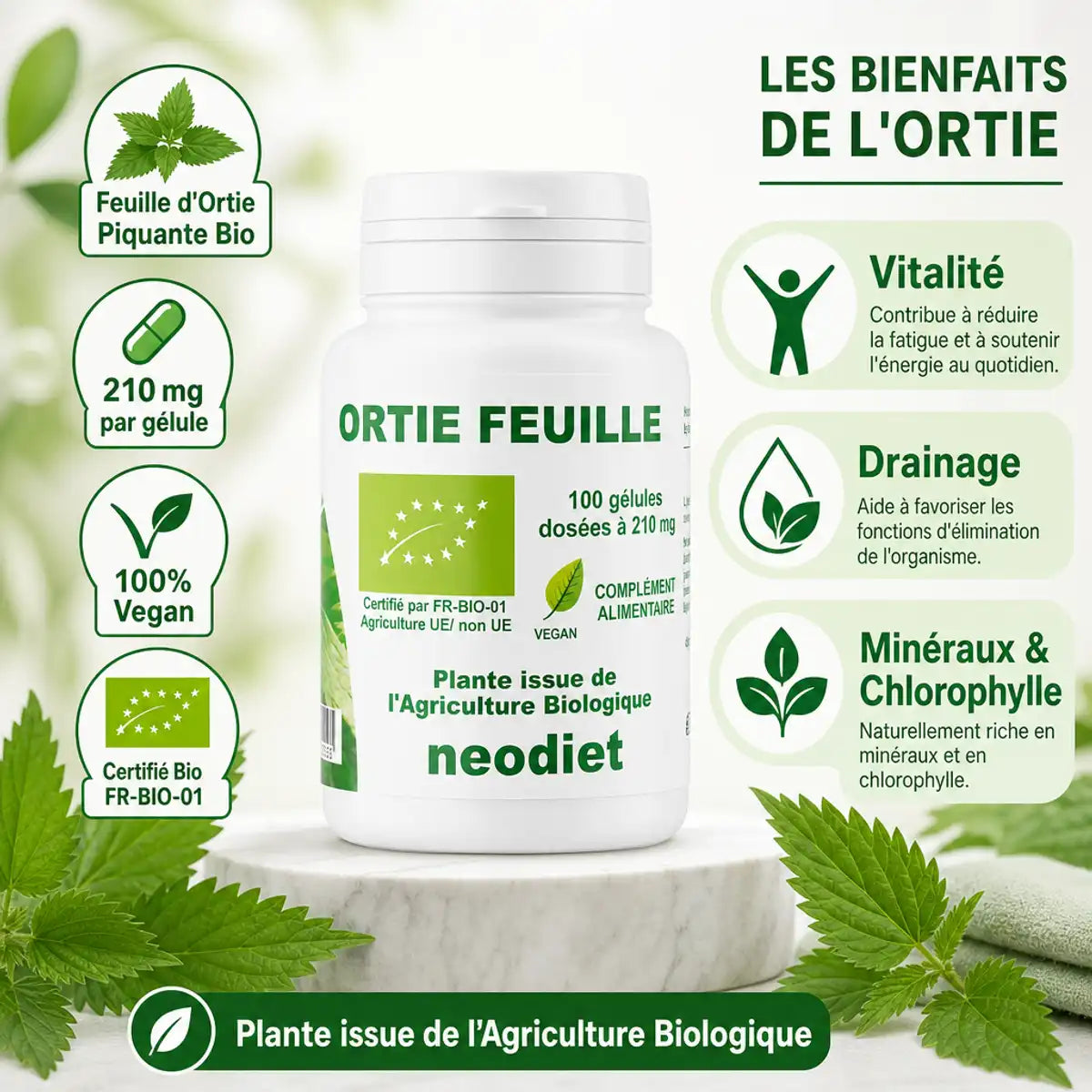 Ortie piquante Neodiet 100 gélules bio - flacon avec bénéfices vitalité et drainage