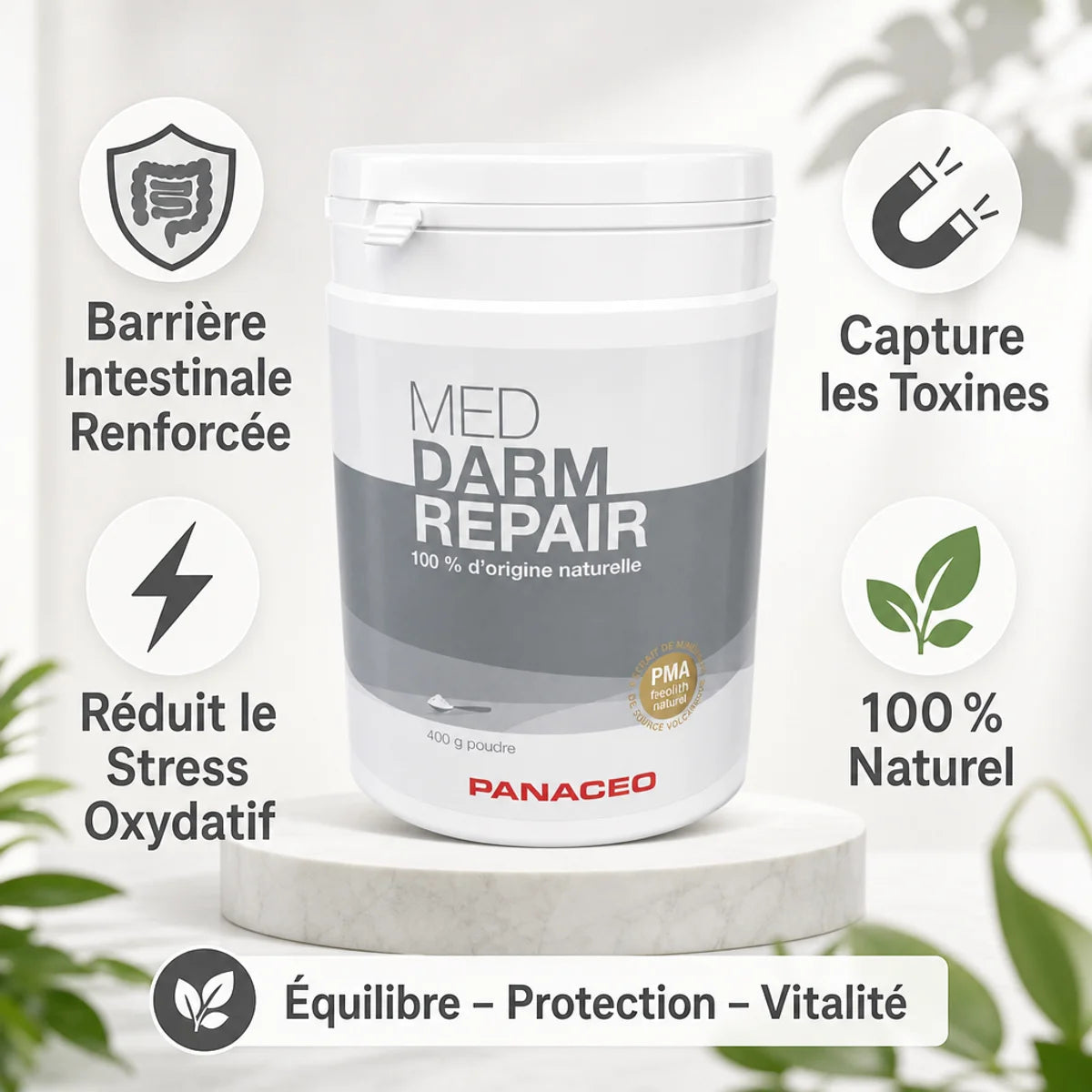 Panacéo Med Darm Repair poudre 400g - Réparation barrière intestinale naturelle et capture toxines