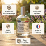 Parfum d'intérieur Un soir en été 100ml anti-moustique Jolis Baumes avec infographie avantages