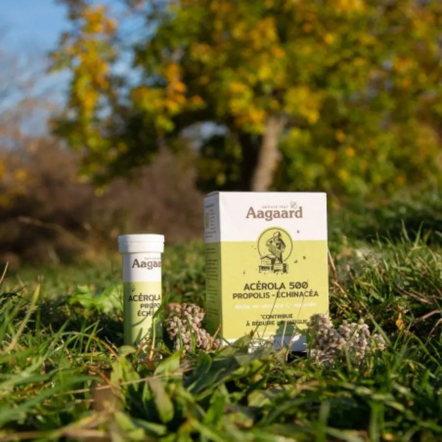 Une boîte de 20 comprimés d'acérola 500, propolis et échinacéa de la marque aagaard dans la nature