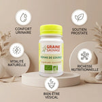 Pépins de courge bio Graine Sauvage 50 capsules avec bénéfices santé prostate et confort urinaire