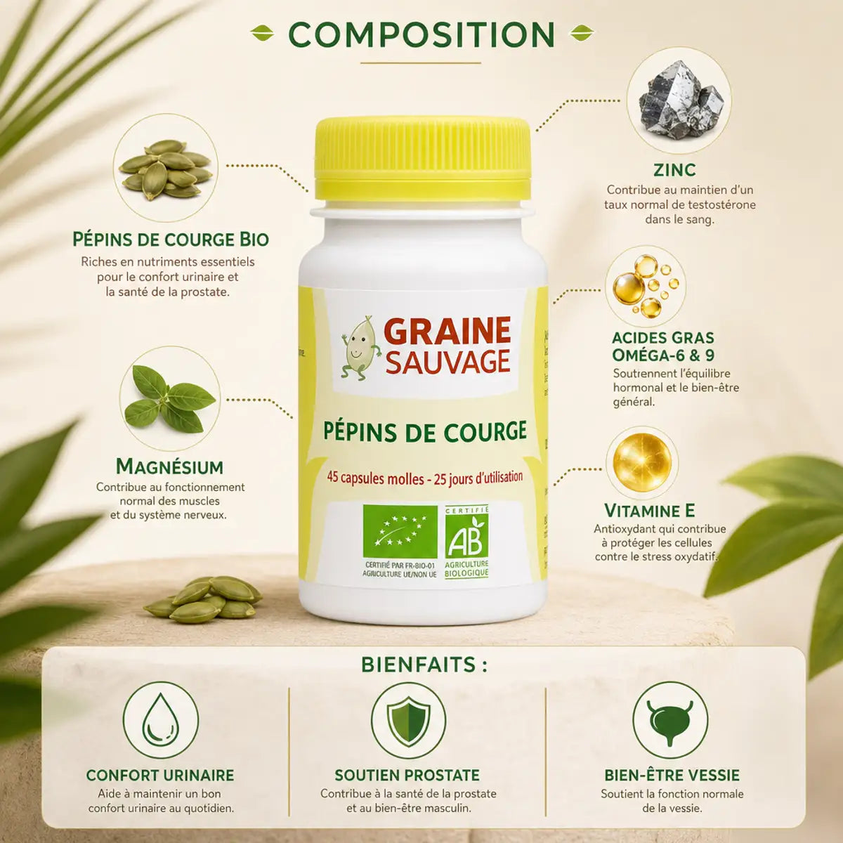 Pépins de courge bio 50 capsules Graine Sauvage avec infographie nutritionnelle et bienfaits prostate