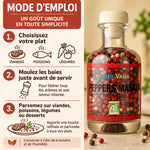 Flacon en verre de Peppers Masala bio Ayur-Vana (50 g) à côté d'un guide « Mode d'emploi » en 3 étapes pour utiliser ces trois baies