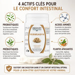 Permeadyn Ergyvet 70g pot avec ingrédients actifs probiotiques prébiotiques pour confort intestinal chien chat