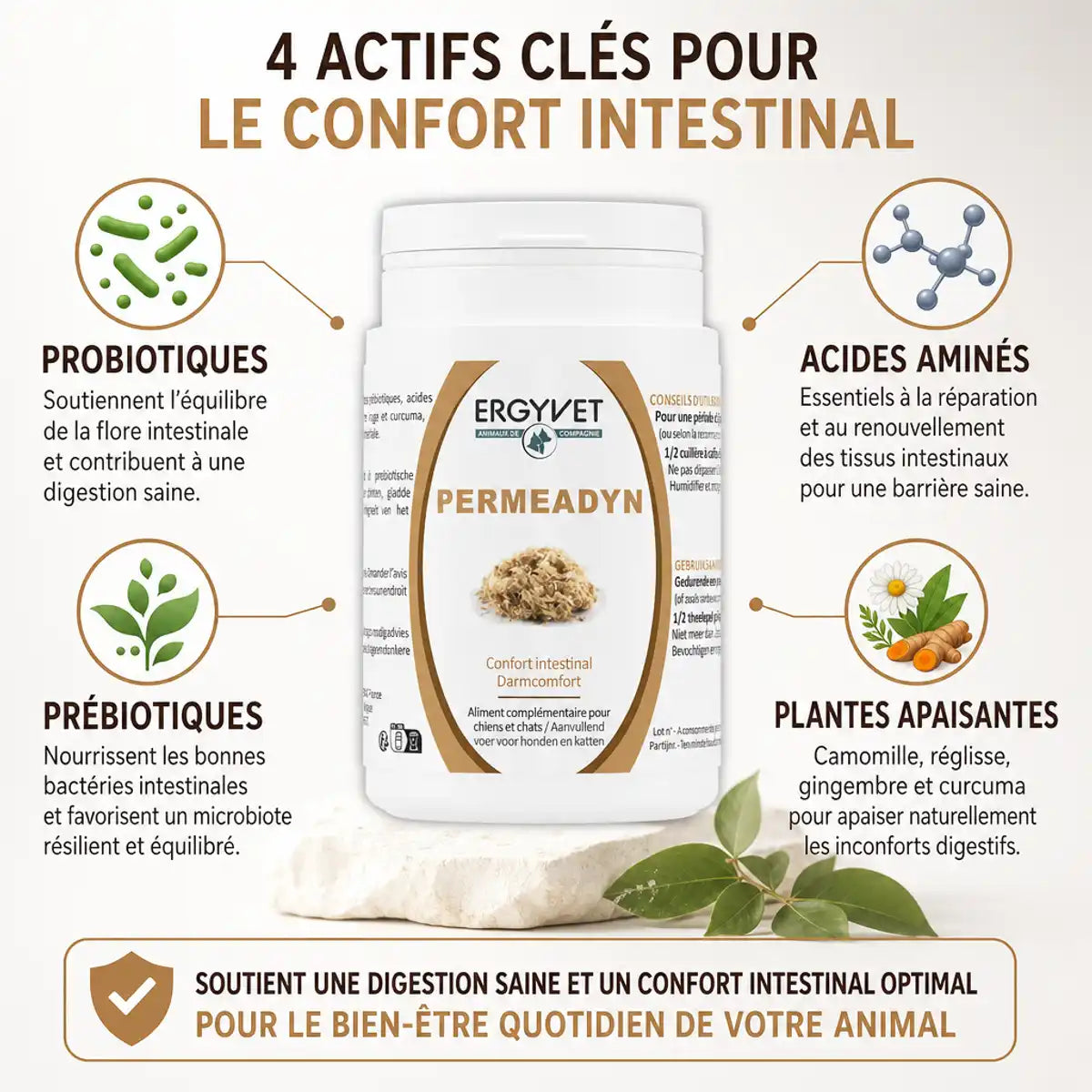 Permeadyn Ergyvet 70g pot avec ingrédients actifs probiotiques prébiotiques pour confort intestinal chien chat