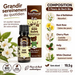 Petit tourbillon bio Biofloral granules enfants 19,5g avec 5 fleurs de Bach, sans alcool