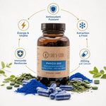 Phyco 200 Life's Code phycocyanine 200mg supplément avec bénéfices antioxydant et immunité