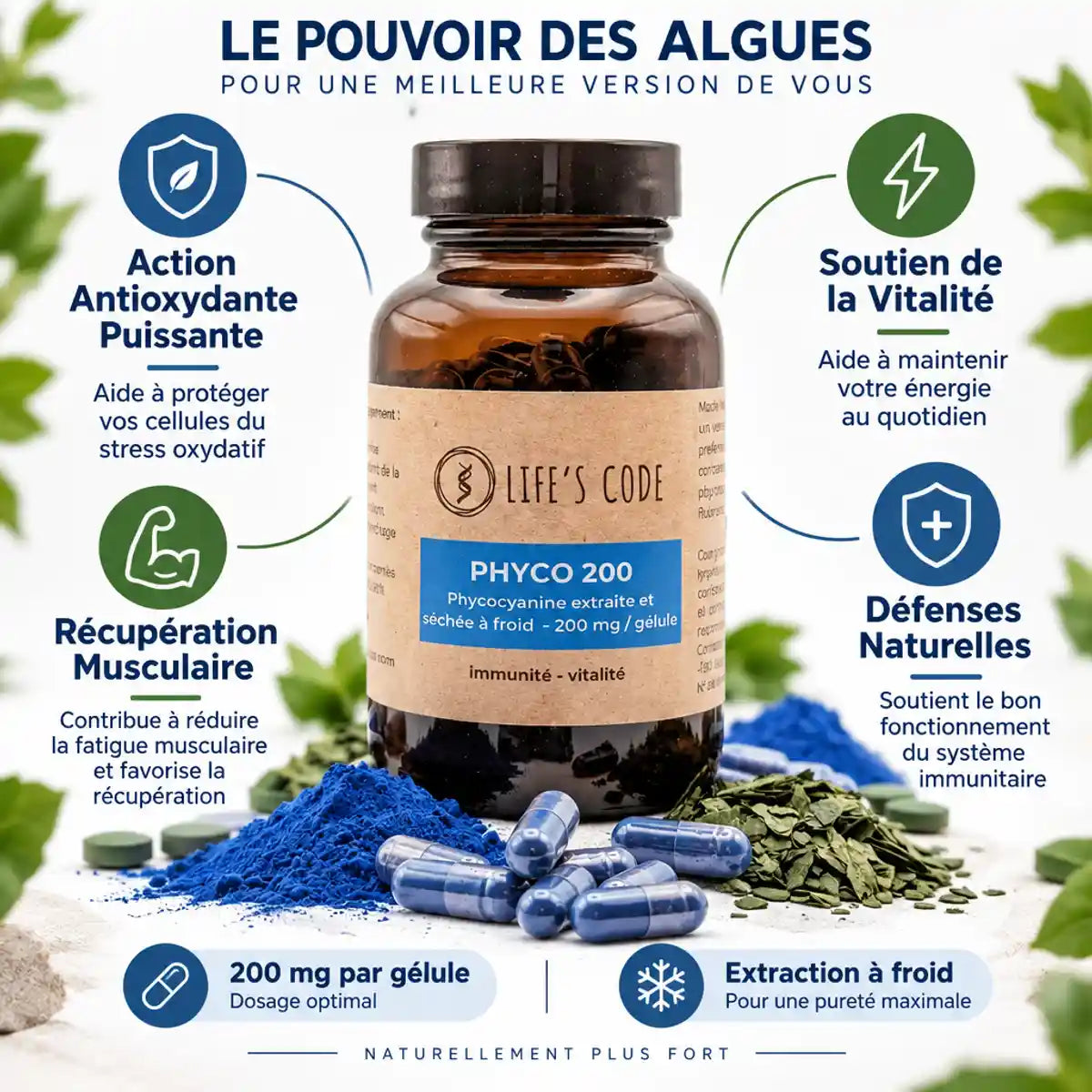 Phyco 200 Life's Code phycocyanine 200mg avec bénéfices antioxydants et récupération musculaire