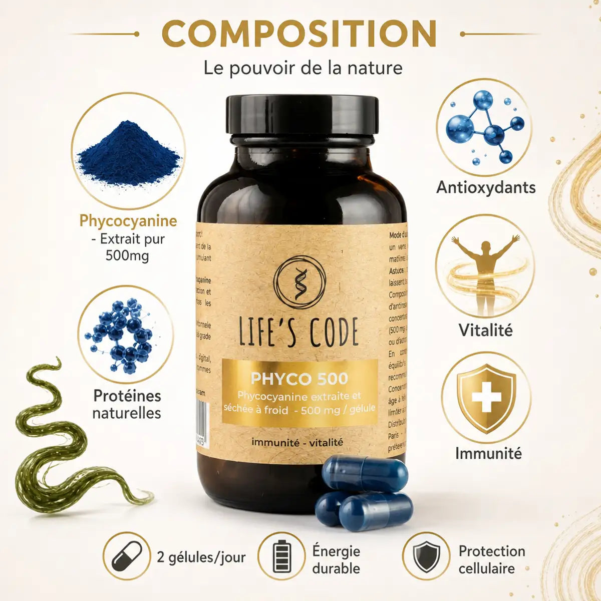 Phyco 500 Life's Code complément phycocyanine 500mg avec infographie ingrédients et bénéfices