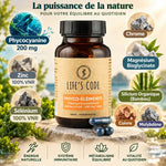 Phyco-éléments Life's Code 30 gélules avec ingrédients phycocyanine, zinc, sélénium et magnésium