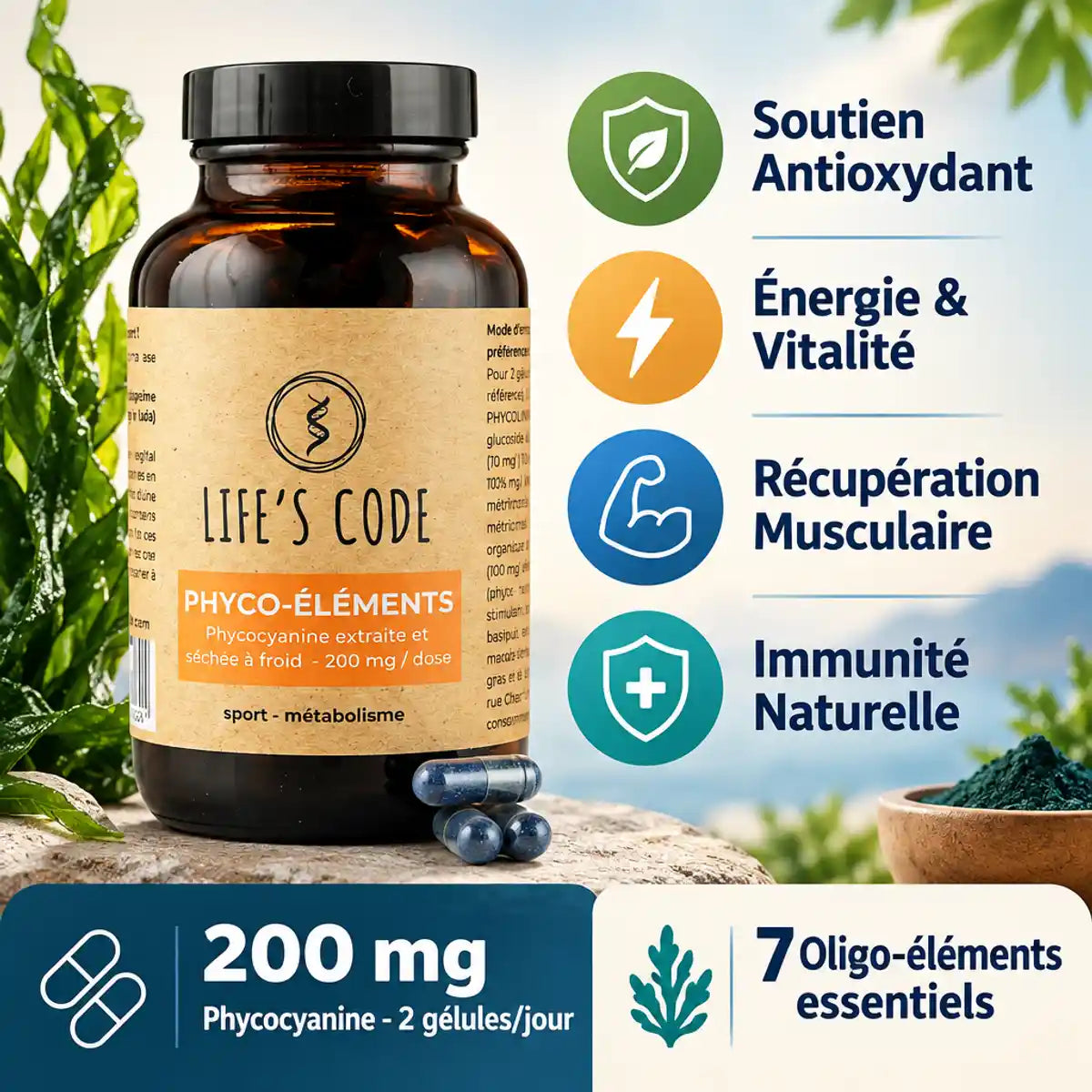 Phyco-éléments 90 gélules Life's Code - Bouteille avec bénéfices antioxydant, énergie et immunité