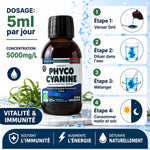 Phycocyanine liquide bio 5000 mg Etika Spirulina avec guide dosage 5ml et infographie utilisation
