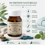 Phycocyanine Spiruline chien chat gélules Life's Code avec bénéfices santé animaux