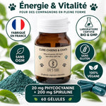 Phycocyanine & Spiruline pour chien et chat - 60 gélules Life's Code, flacon verre brun certifié bio