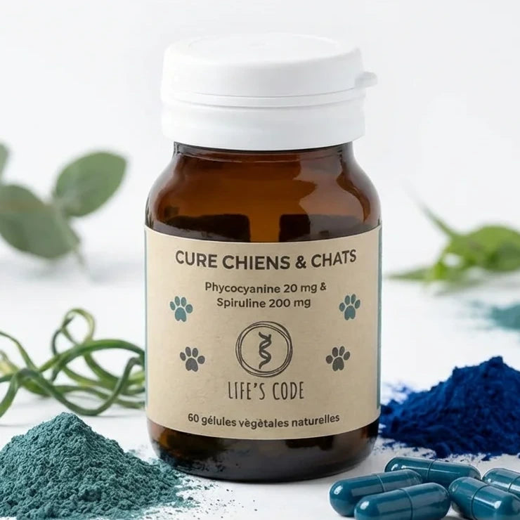 Complément Life's Code spiruline phycocyanine pour chiens chats 60 gélules avec ingrédients naturels
