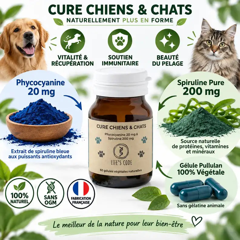 Phycocyanine & Spiruline pour chien et chat - Flacon 60 gélules avec ingrédients naturels et certifications