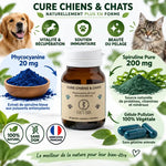 Phycocyanine & Spiruline pour chien et chat - Flacon 60 gélules avec ingrédients naturels et certifications