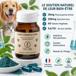 Phycocyanine spiruline chiens chats 60 gélules Life's Code - Bouteille amber avec poudre bleue et capsules