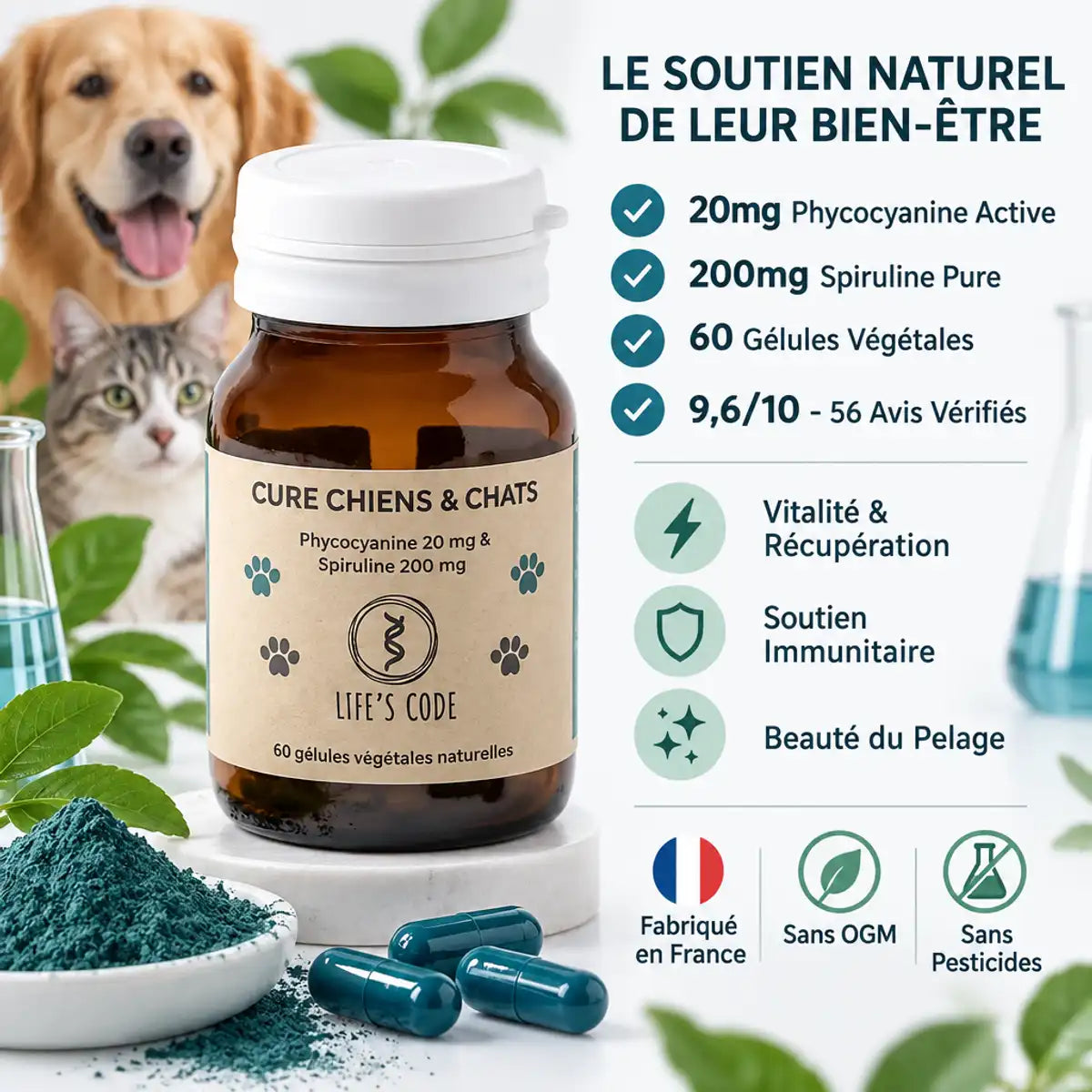 Phycocyanine spiruline chiens chats 60 gélules Life's Code - Bouteille amber avec poudre bleue et capsules