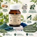 Complément spiruline phycocyanine chiens chats Life's Code 60 gélules bien-être animal