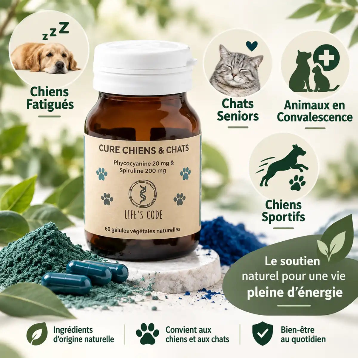 Complément spiruline phycocyanine chiens chats Life's Code 60 gélules bien-être animal