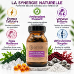 Phyco-Sublime Life's Code complément anti-âge avec phycocyanine et actifs naturels pour énergie et peau radieuse