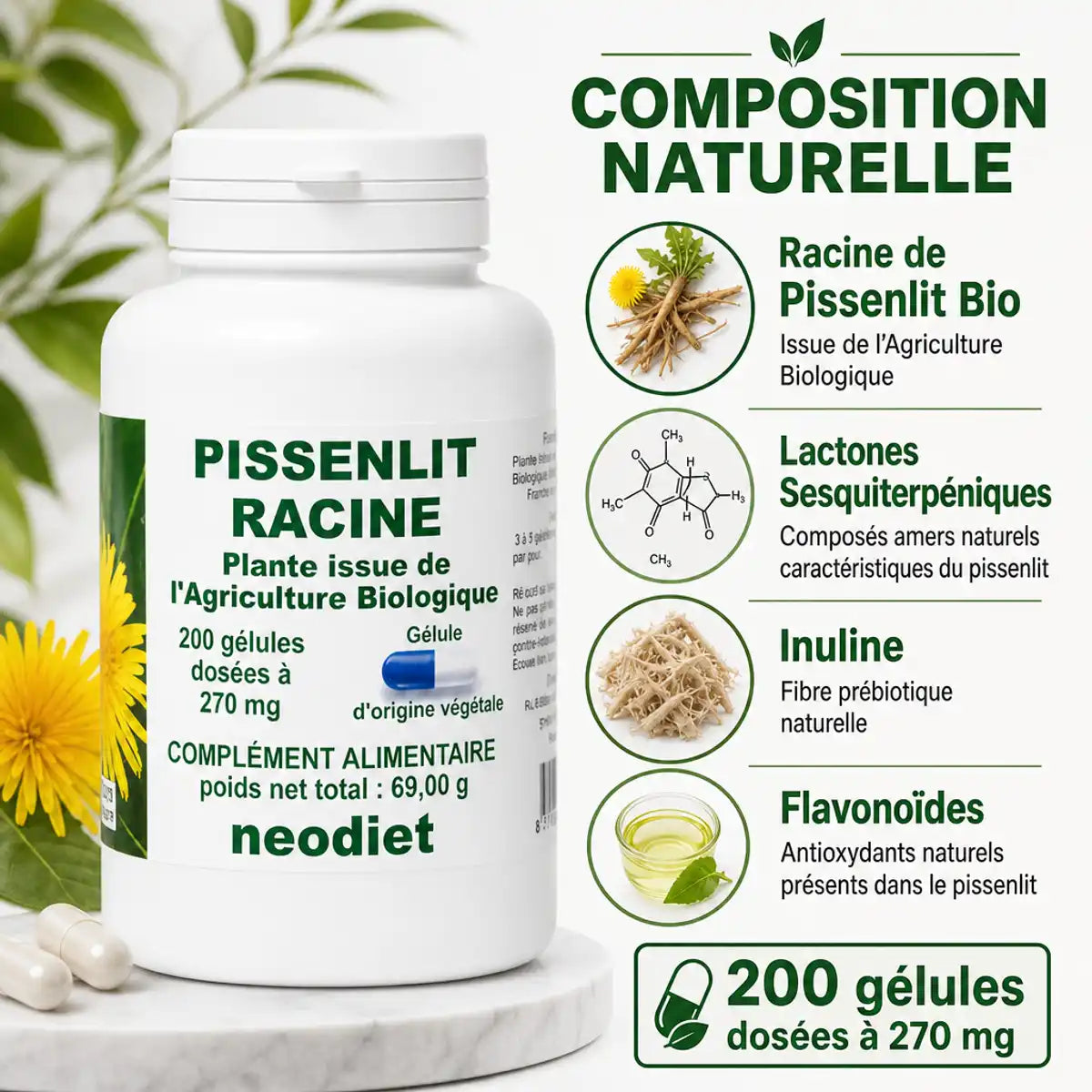 Neodiet Pissenlit Racine bio 200 gélules 270mg composition naturelle lactones inuline flavonoïdes