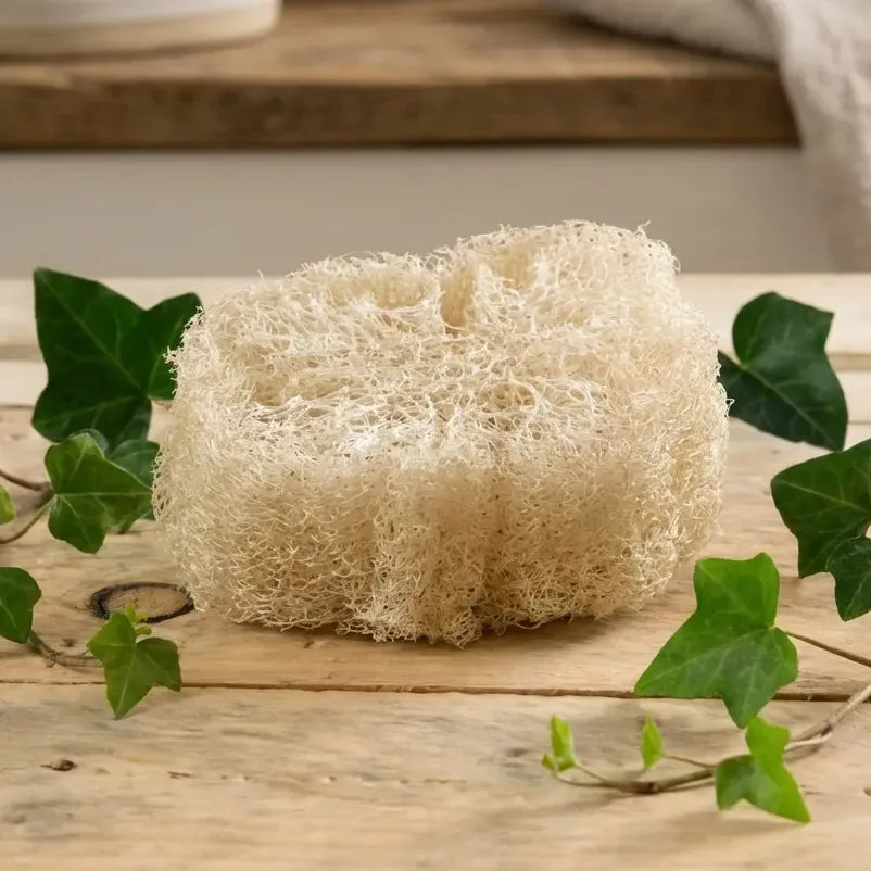 Porte savon biodégradable luffa brut sur bois avec feuilles vertes, esthétique écologique