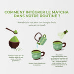 Posologie et guide d'utilisation du matcha premium de la marque INOLAB