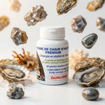 Poudre de Chair d'Huître Premium Vital Osmose 60 gélules avec huîtres bretonnes fraîches