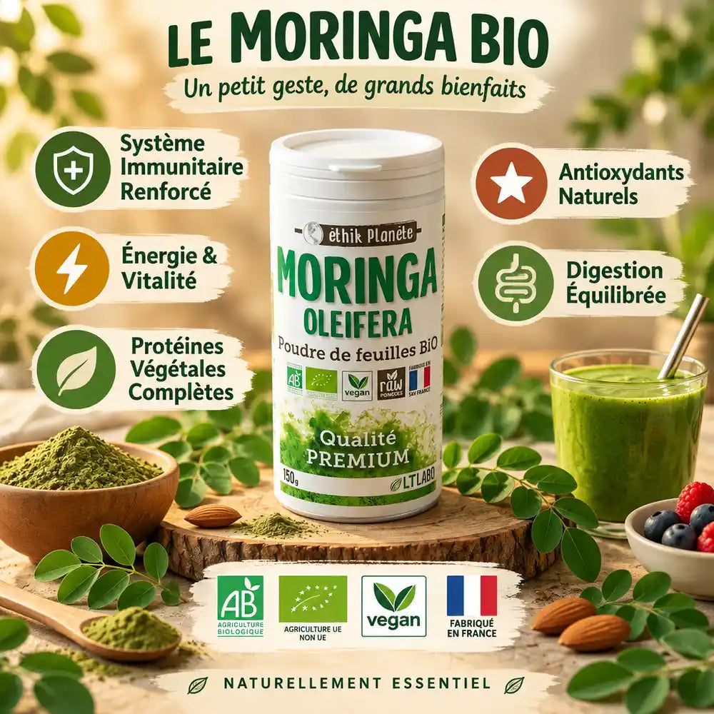 Poudre de Moringa bio 150g LT Labo avec ses 5 bénéfices santé et certifications AB
