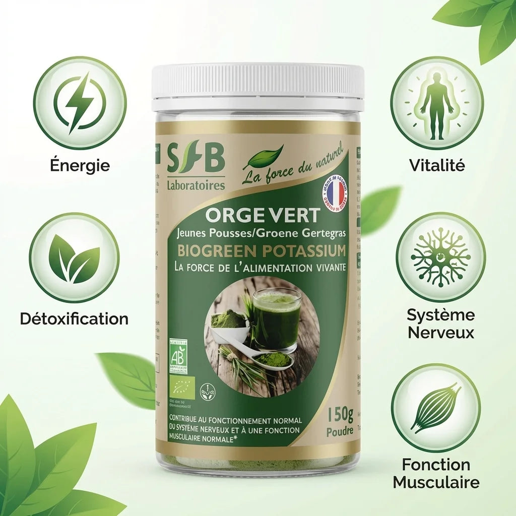 Poudre d'orge verte SFB Laboratoires 150g avec icônes bénéfices : énergie, vitalité, détoxification