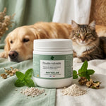 Poudre noire naturelle anti-puces tiques Phytolab 350g avec chien et chat