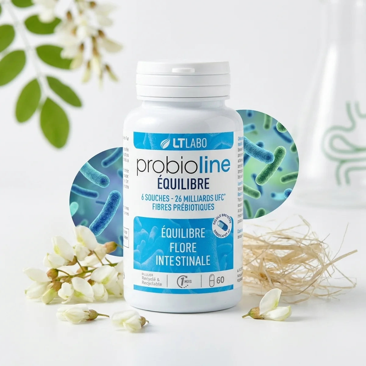 Probioline Equilibre 60 gélules flore intestinale LT Labo sur fond blanc avec éléments naturels