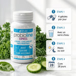 Probioline Expert 28 gélules LT Labo flore intestinale avec instructions dosage et ingrédients naturels