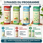 Programme Ayurvédique Poids Idéal : 4 produits AyurVana avec timeline 3 phases de 90 jours
