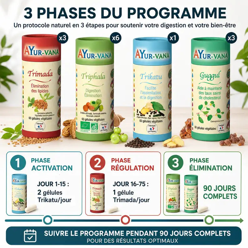 Programme Ayurvédique Poids Idéal : 4 produits AyurVana avec timeline 3 phases de 90 jours