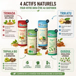 Bouteilles compléments Triphala, Trikatu, Trimada, Guggul AyurVana pour poids idéal et digestion