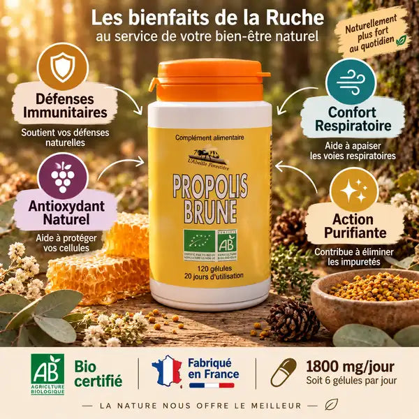 Propolis Brune Bio Abeille Forestière 120 gélules avec bénéfices santé immunitaire respiratoire antioxydant
