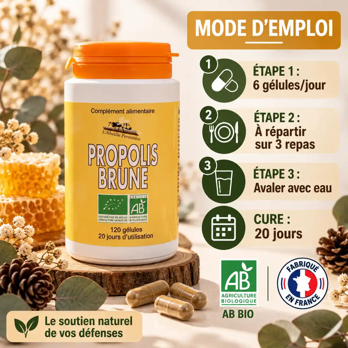 Propolis Brune Bio Abeille Forestière 120 gélules avec mode d'emploi et certifications AB bio Fabriqué France