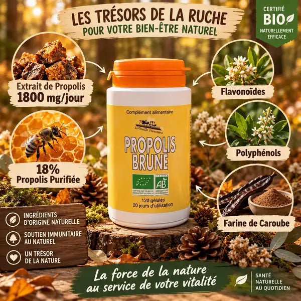 Propolis Brune Bio 120 gélules Abeille Forestière avec ingrédients actifs flavonoïdes et polyphénols