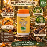 Propolis Brune Bio 120 gélules Abeille Forestière avec ingrédients actifs flavonoïdes et polyphénols