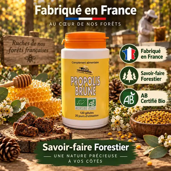 Propolis Brune Bio 120 gélules Abeille Forestière en flacon avec label AB certifié en forêt