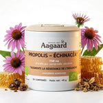 Propolis Échinacéa 550mg Aagaard avec fleurs d'échinacéa et miel naturel sur fond blanc