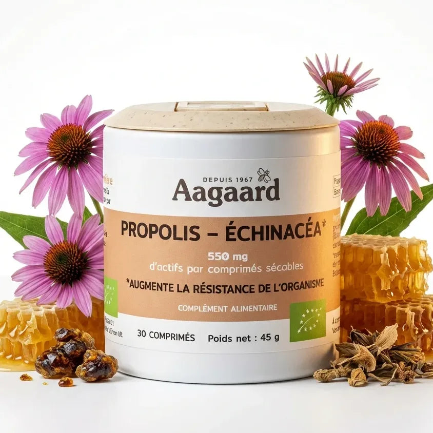 Propolis Échinacéa 550mg Aagaard avec fleurs d'échinacéa et miel naturel sur fond blanc
