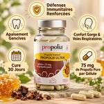Propolis Ultra 120 gélules Propolia avec infographie défenses immunitaires et bénéfices santé